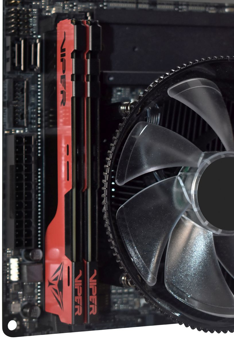 Память DDR4 32Gb 3200MHz Patriot PVE2432G320C8 Viper Elite II RTL Gaming PC4-25600 CL18 DIMM 288-pin 1.35В с радиатором Ret — изображение 6